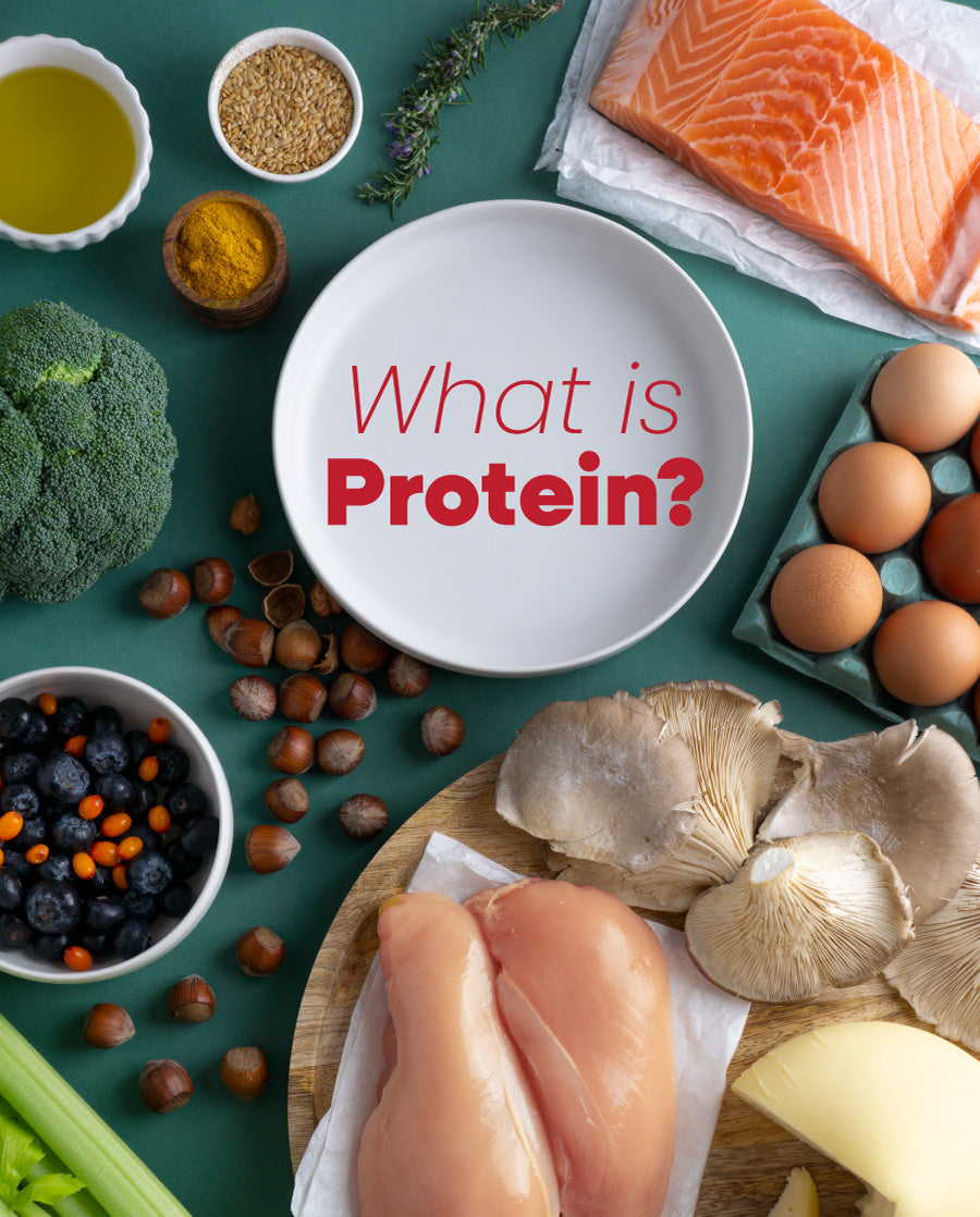 What Is Protein, Actually? A Guide for People Who've Never Bought a Supplement in Their Life